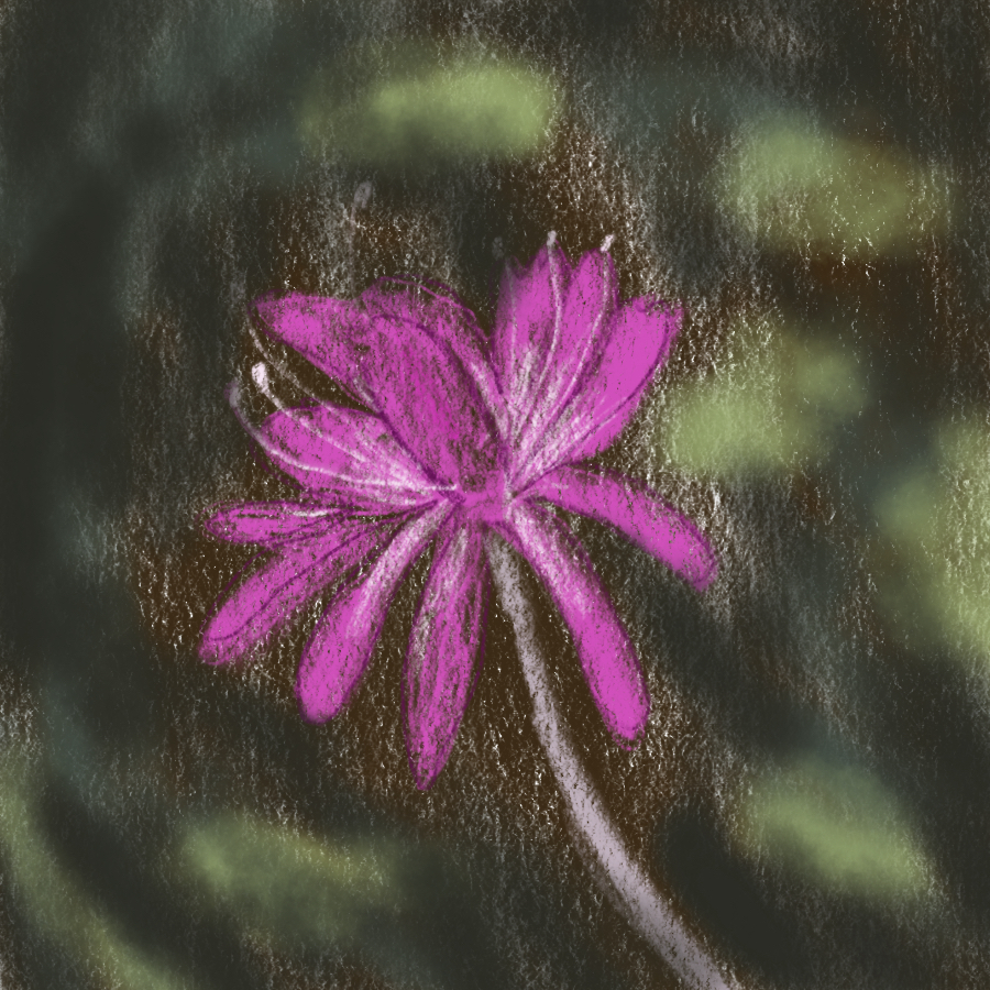 The Rhodora Analysis